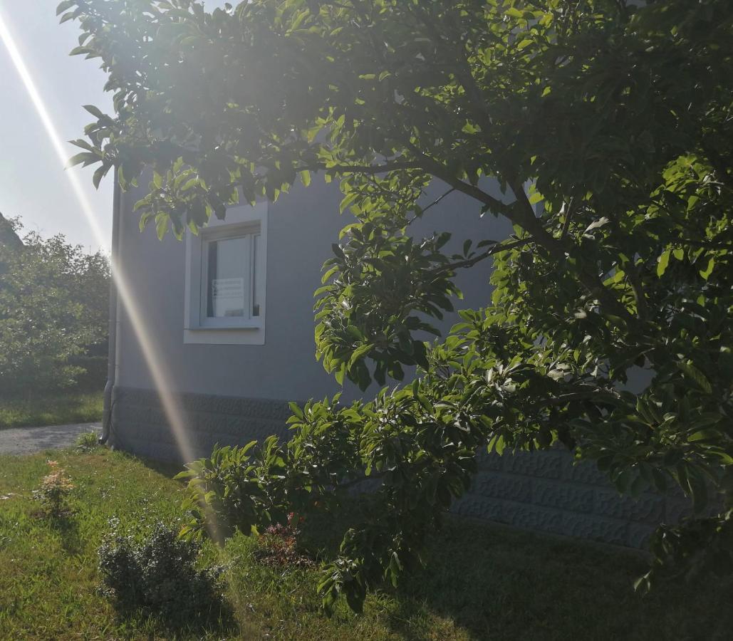 Ferienhaus Niesky Appartement